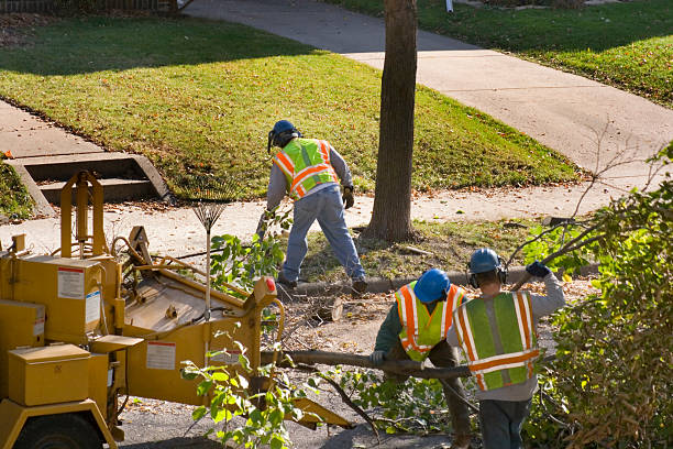 Best Weed Control  in Ambler, PA